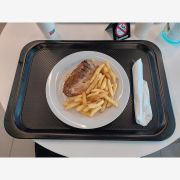 Fast food plastic tray 49x34cm