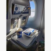 Fast food plastic tray 49x34cm