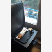 Fast food plastic tray 49x34cm